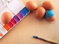 Eggs coloring