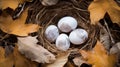 Eggs concealed beneath fallen leaves, hidden treasures found.AI Generated