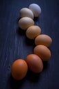 Eggs of different colors lined up in degrade