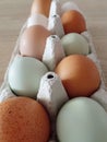Eggs in different colours in paper box