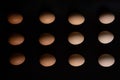 Eggs of different shades lie in rows on a black background Royalty Free Stock Photo