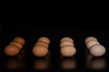 Eggs of different shades lie in rows on a black background Royalty Free Stock Photo