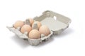 Eggs in Egg Carton Royalty Free Stock Photo