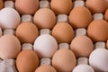 Eggs in egg carton Royalty Free Stock Photo