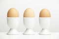 Eggs in egg cups Royalty Free Stock Photo
