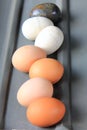 Eggs Royalty Free Stock Photo