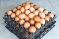 Eggs with Egg Tray closeup detail food