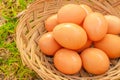 Eggs and ester wood basket background