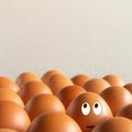 Eggs with eyes looking up. free space to write. funny face of eggs in a cardboard container Royalty Free Stock Photo