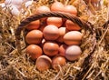 Eggs farm without GMOs on the market