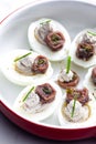 eggs filled with anchoa spread with anchoa on the top Royalty Free Stock Photo