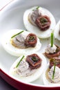 eggs filled with anchoa spread with anchoa on the top