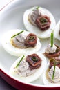 eggs filled with anchoa spread with anchoa on the top Royalty Free Stock Photo