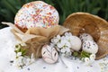 Eggs with floral ornaments and kulich for Easter near blossoming tree twigs on cloth Royalty Free Stock Photo