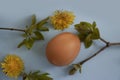 Eggs, flower on a colored background frame beautiful concept easter