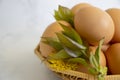 Eggs, flower on a colored background frame beautiful concept