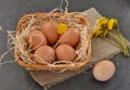Eggs and flowers in a basket on grey background