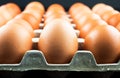 Eggs folded into a cardboard box. Beautiful clean chicken eggs neatly stacked in a tray. Raw eggs in the tray Royalty Free Stock Photo