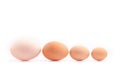 eggs - four chicken eggs of different sizes lined up Royalty Free Stock Photo