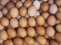 Eggs fresh farm product Chicken eggs