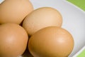 Eggs on fresh green background Royalty Free Stock Photo