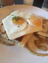 Square shaped fried eggs with savory crepe
