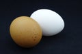 Brown egg in chicken nest. Organic village eggs provide higher protein