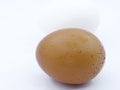 Brown and white eggs against a white background. Organic village eggs provide higher protein