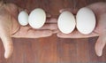 Eggs: goose, duck, chicken and pigeon Royalty Free Stock Photo