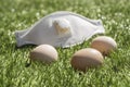 Eggs on the grass as a symbol of Easter Royalty Free Stock Photo