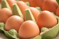 Eggs in green cartone diagonal perspective Royalty Free Stock Photo