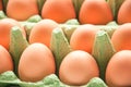 Eggs in green cartone Royalty Free Stock Photo