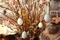 Eggs hanging on dried Willow branches Royalty Free Stock Photo