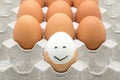 Eggs with happy face Royalty Free Stock Photo