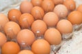 Eggs that have just been collected at the farm Royalty Free Stock Photo