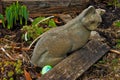 Eggs hidden for Easter egg hunt near a garden statue of a stone cat in midwestern backyard. Royalty Free Stock Photo