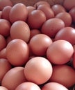 Eggs are a high source of protein that tastes good, is easy to digest and highly nutritious