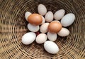 Eggs inside of a bamboo basket.Heap of golden and white eggs inside a bamboo basket.Egg background with copy spacer for text