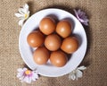 Eggs isolated on a bright background. Front photo. Egg wallpapers. Royalty Free Stock Photo