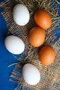 Eggs lie on a sacking Royalty Free Stock Photo