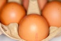 Eggs lies in a egg carton Royalty Free Stock Photo