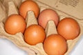 Eggs lies in a egg carton Royalty Free Stock Photo