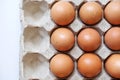 Eggs line up in a paper conton Royalty Free Stock Photo