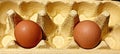 Eggs, made by cage-free Hens in Day light.