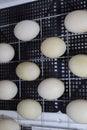 The eggs of a musky duck lying in an incubator