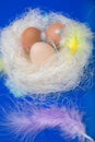 Eggs in the nest with feathers and decorated