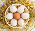 Eggs in nest food straw chicken Royalty Free Stock Photo