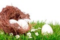 Eggs in nest on fresh spring green grass Royalty Free Stock Photo