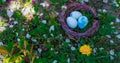 Eggs in a nest in green grass. The Easter Holiday concept