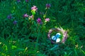 Eggs in a nest in green grass. The Easter Holiday concept
